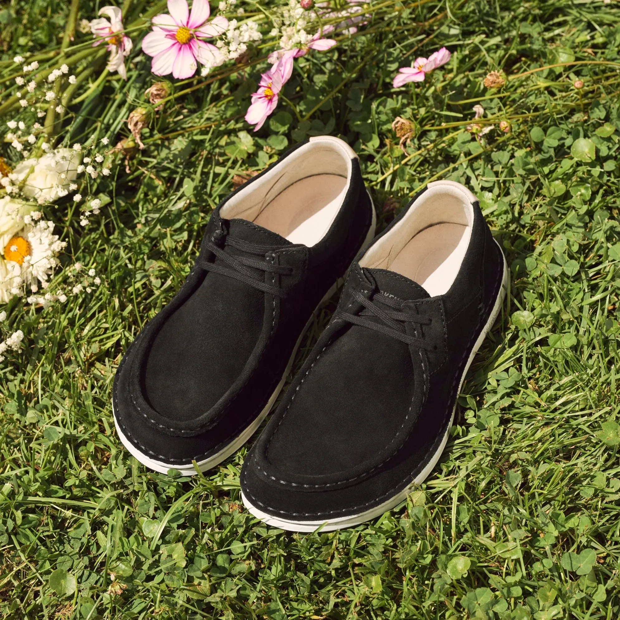 Birkenstock Pasadena black suede