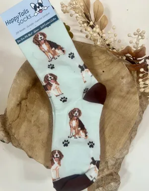 E&S Pets-Beagle Socks