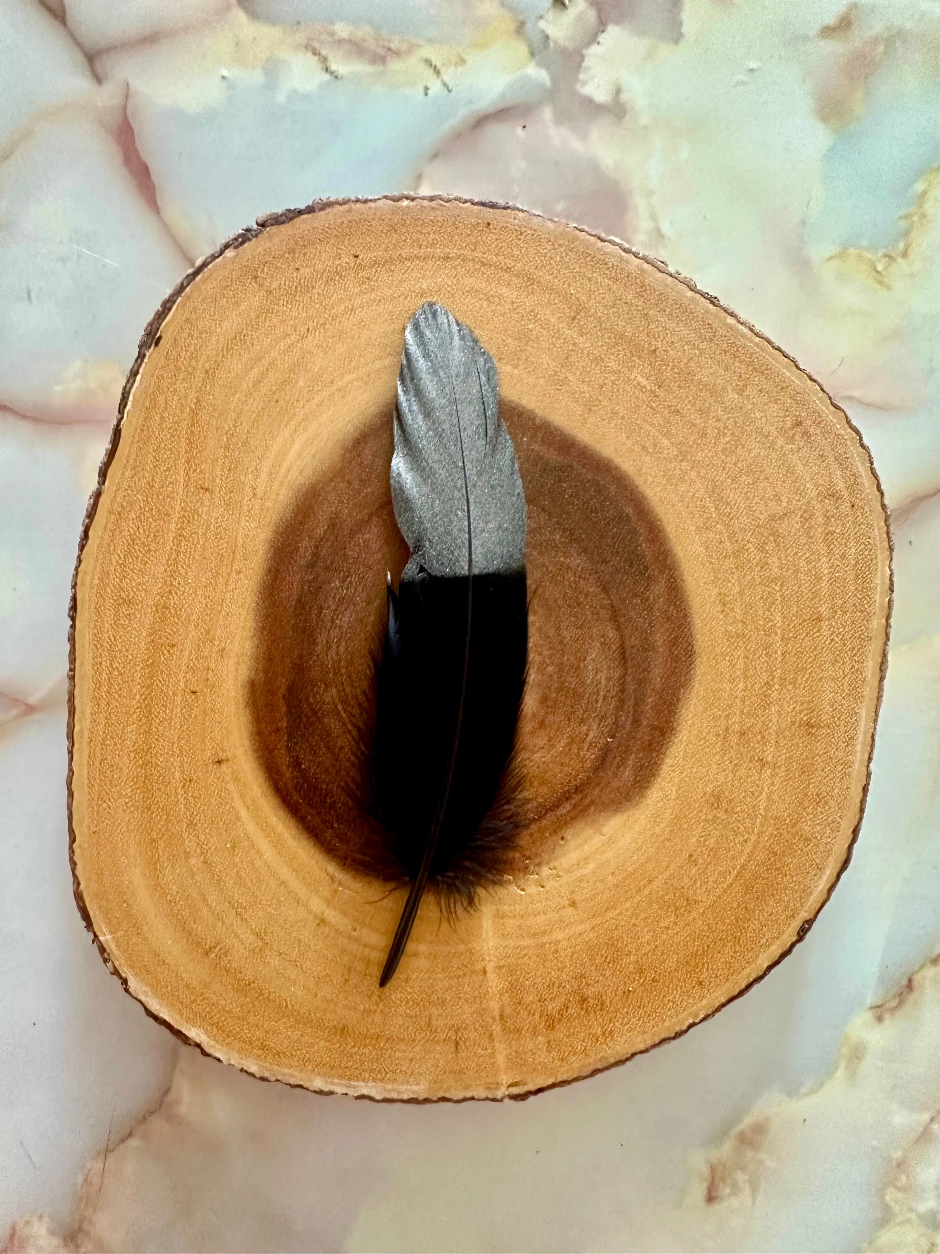 Feather 77