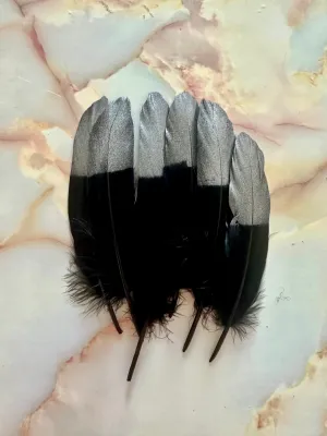 Feather 77