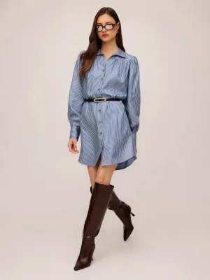 natalia shirt dress