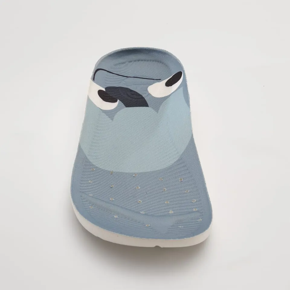 Nova X Cécile Gariépy Insoles: Colourful Comfort for Your Every Step