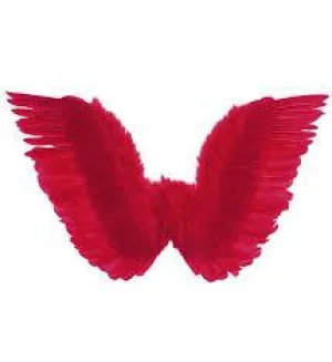 Red Feather Wings