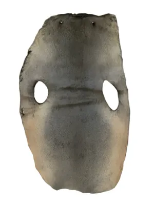 Sealskin Fur Pelt Natural