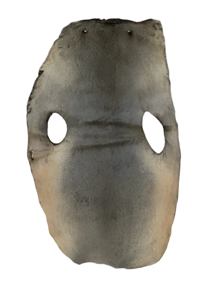 Sealskin Fur Pelt Natural
