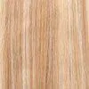 Sleek Melody Synthetic Lace Front / Parting Wig 27"