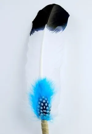 Turkey Quill Smudge Feather Reflection