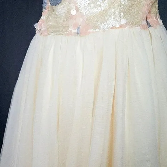 Valerie Tolosa Sweet Pea Sequin Carnation Sweetheart Neckline Princess Dress
